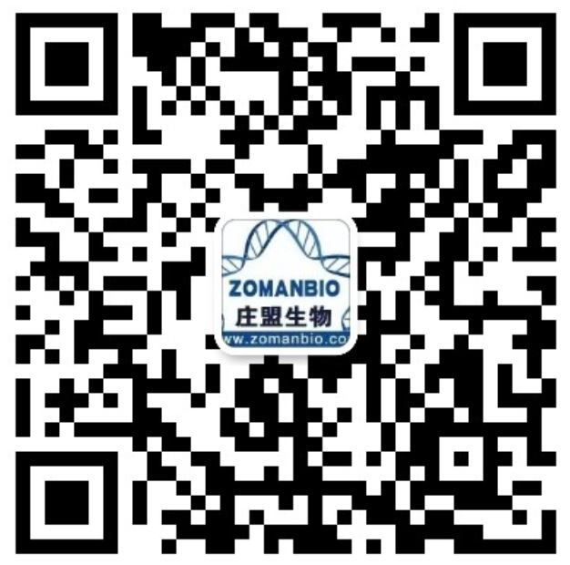 技術二維碼.jpg 圖片