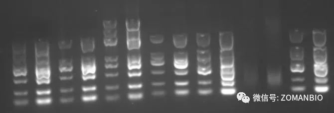 22.6不同廠家效果圖.jpg 圖片